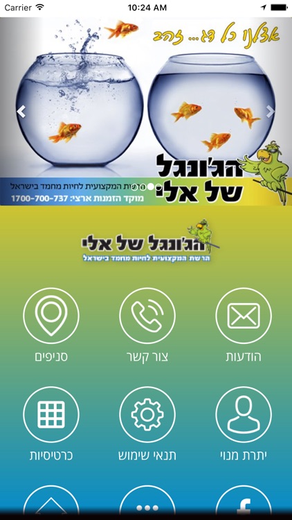 הג'ונגל של אלי