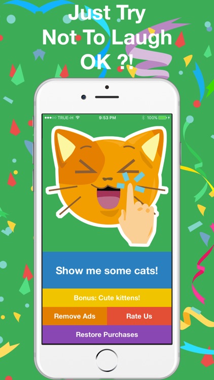 Try Not To Laugh - Cat Edition