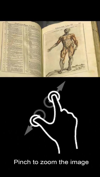 Libri&Palazzi screenshot-3