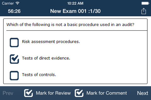 CPA Audit Exam Online screenshot 3