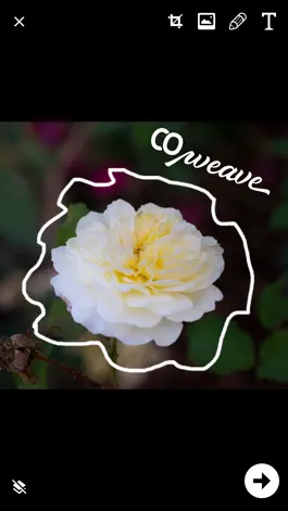Game screenshot coWeave apk