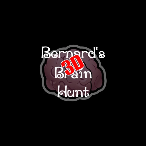 Bernard's 3D Brain Hunt icon