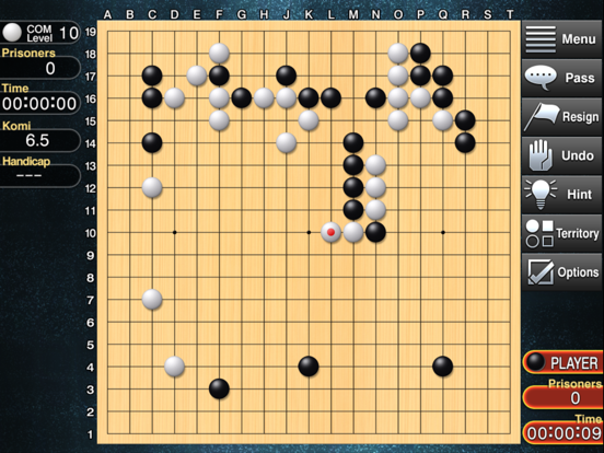 Champion Go iPad app afbeelding 2