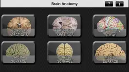 Game screenshot Brain Anatomy mod apk