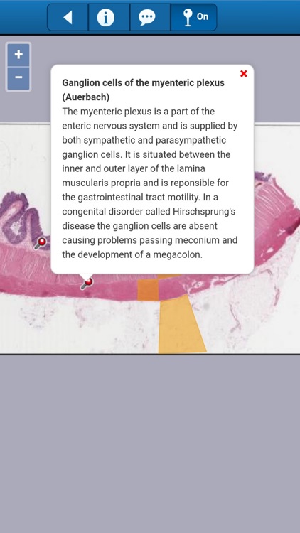 Smart Histology Lite screenshot-3