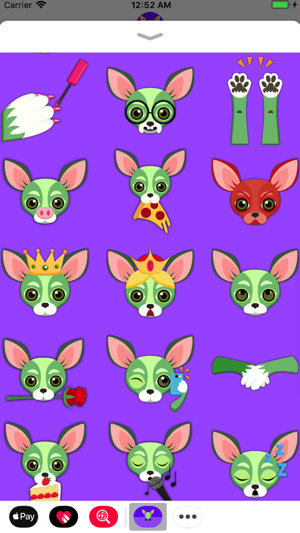 Saint Patrick's Day Chihuahua(圖1)-速報App