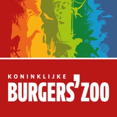 Activities of Burgers' Zoo Snapshot