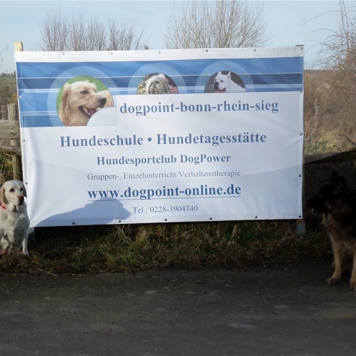 DOGPOINT-bonn-rhein-sieg
