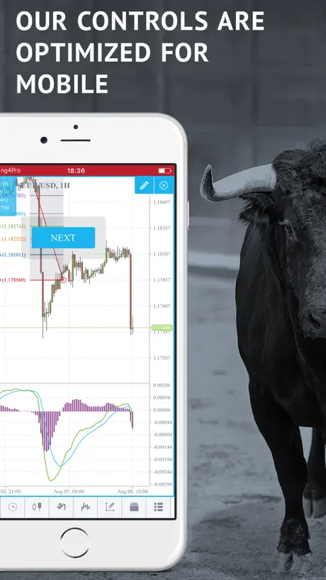 Trading4Pro Forex Charts