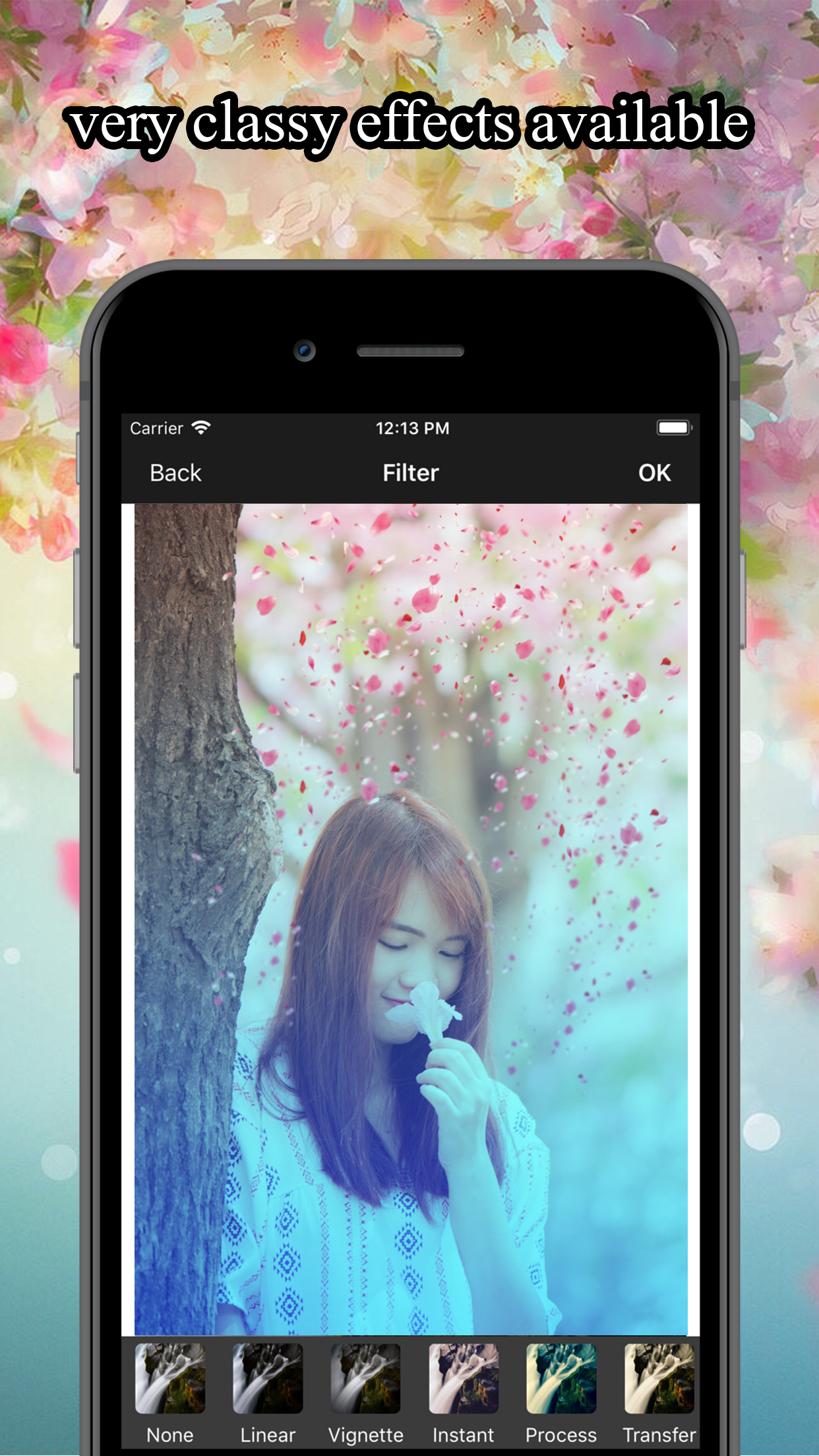 Flower Rain Effect Pic Editor