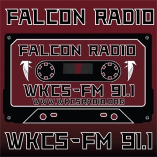 Falcon Radio. icon