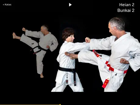 Katas Lite