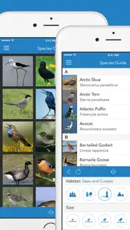 birds pro hd iphone screenshot 2