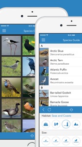 Birds PRO HD screenshot #2 for iPhone