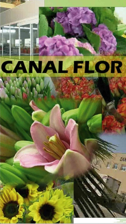 Canalflor Mayorista