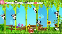hit the panda - knockdown game iphone screenshot 2