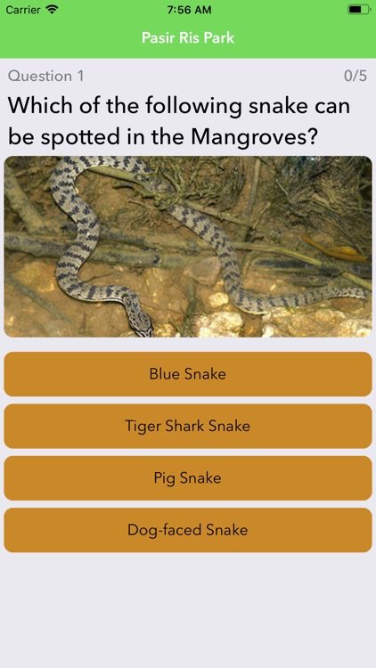 Parkgoer screenshot-3