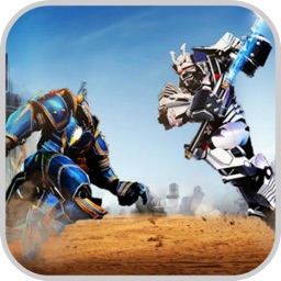 Street Warrior Robot NY