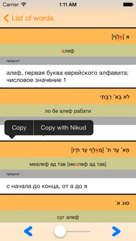 Game screenshot IRIS Hebrew Russian Dictionary apk
