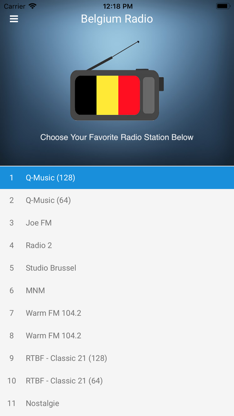 Belgium Radio Station: Belgian screenshot 1