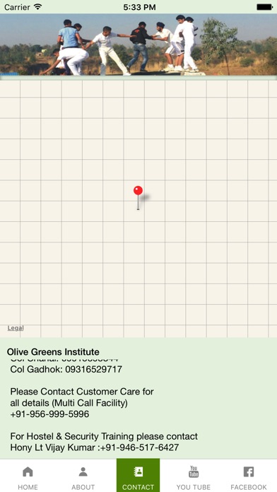 Olive Greens screenshot 3