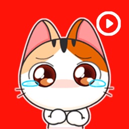 Animated Cat Stickers Pack