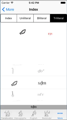 Game screenshot Aaou Hieroglyph Dictionary hack