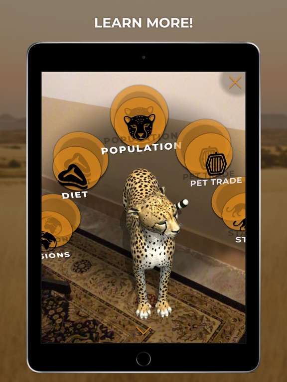 Virtual Cheetah iPad screenshot 2 - Education app