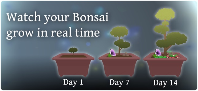 Pocket Bonsai(圖1)-速報App