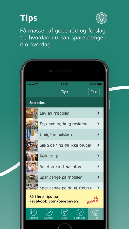 Lommebudget screenshot-4