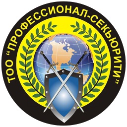 Профессионал - Секьюрити