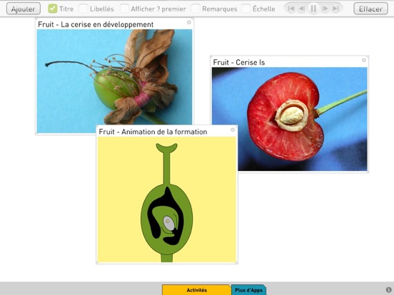 Screenshot #5 pour Plantes (Sunflower Learning)