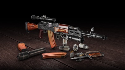 How it Works: AK-74Nのおすすめ画像1