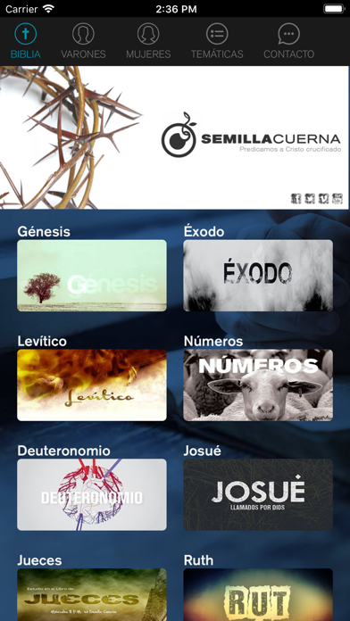 Semilla Cuerna screenshot 2