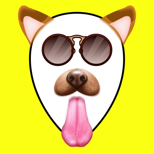 Fun FaceApp Photo Filters Swap