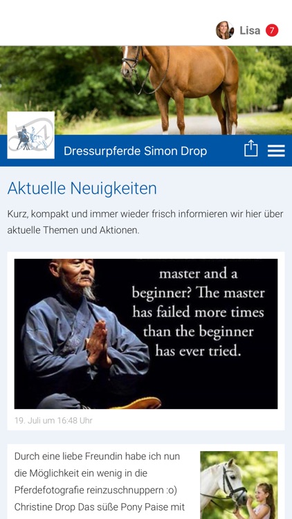 Dressurpferde Simon Drop