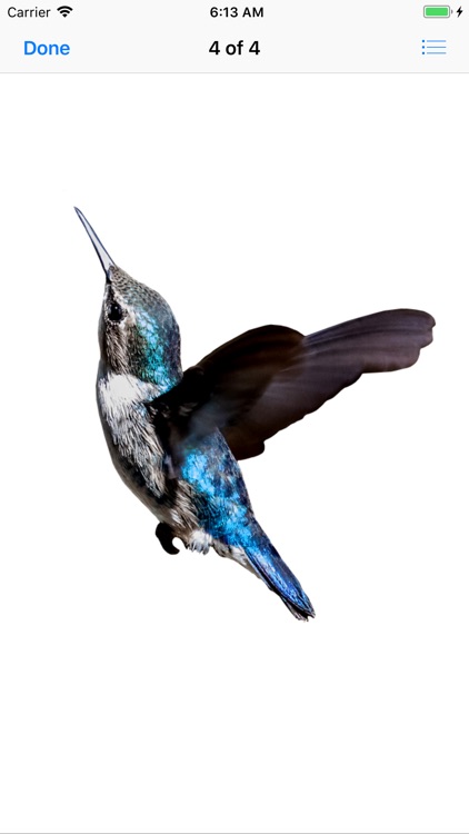 My Hummingbird Stickers screenshot-6