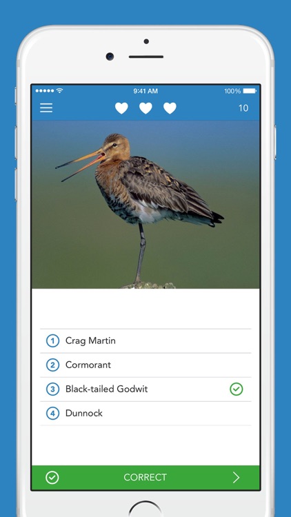 iKnow Birds 2 PRO - Europe screenshot-3