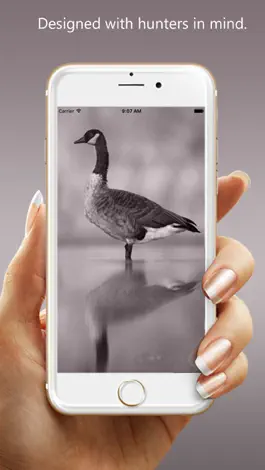 Game screenshot Goose Hunting Calls - Goose Sounds mod apk