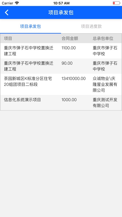 南岸建设 screenshot-5