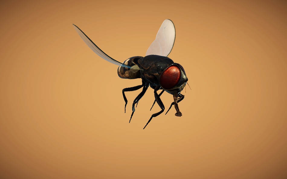 #4. MetaMorphos (macOS) 由: Université de Mons