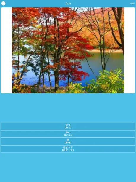 Từ Vựng JLPT N5