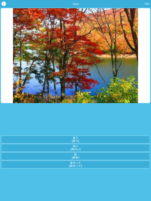 Từ Vựng JLPT N5 iPad screenshot 5 - Education app