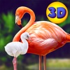 Wild Pink Flamingo Sim