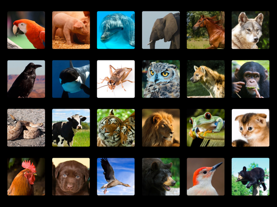 The best iPhone apps for animal kingdom - appPicker