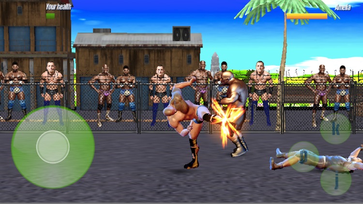 Real Tag Wrestling Fighter