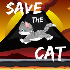 Activities of Save this cat