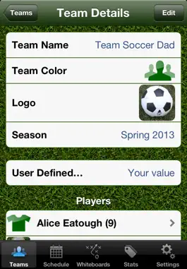 Game screenshot Soccer Dad mod apk