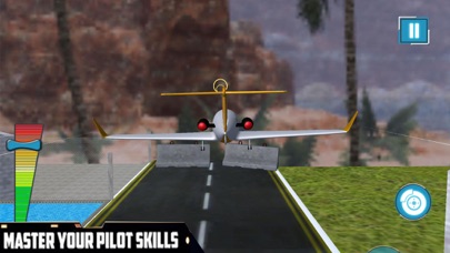 Airplane Flying Pilot Sim screenshot 3