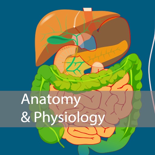 Nursing Anatomy and Physiology Icon